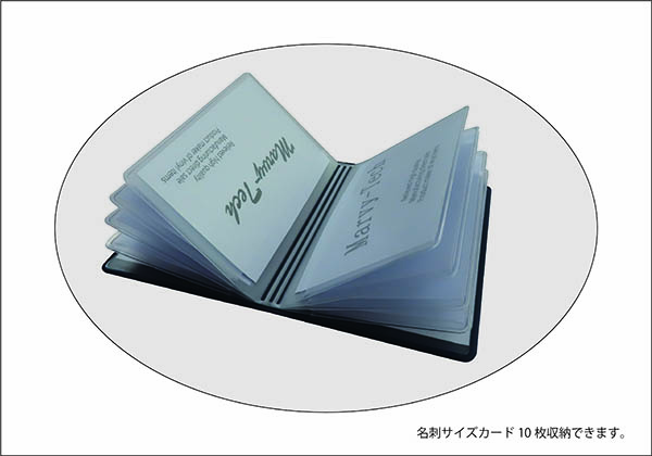 カードファイル PV-L 10P
